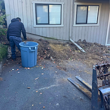 Fall-2025-Planting-Design-Installation-in-Oronoque-Village-Stratford-CT 13